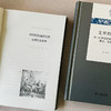 文明的歧路：19—20世纪的知识分化及其政治、文化场域 商品缩略图4