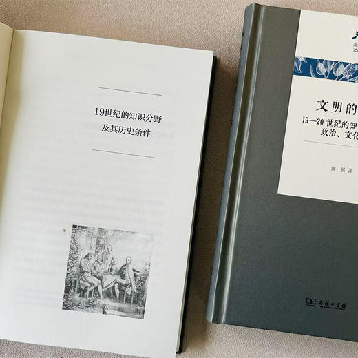 文明的歧路：19—20世纪的知识分化及其政治、文化场域 商品图4