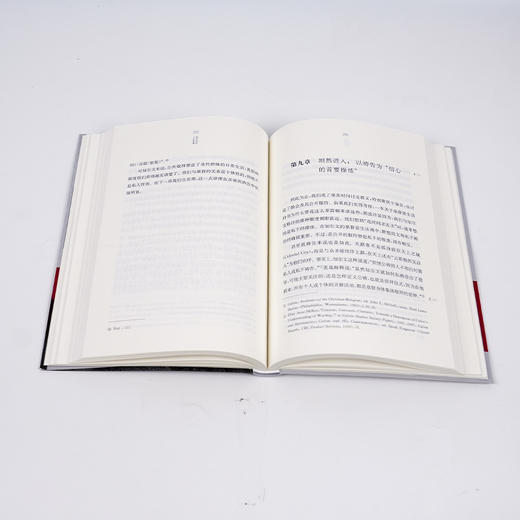 《加尔文的人生智慧：荣耀他并永远以他为乐》 商品图5