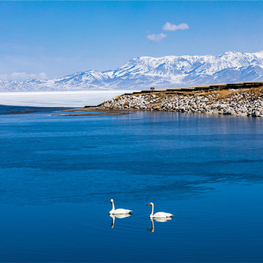 春漫伊犁丨新疆·伊犁 赛里木湖那拉提安集海大峡谷·8天7晚【go小团】 商品图2