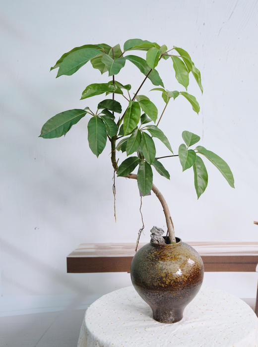 造型大叶伞 商品图0