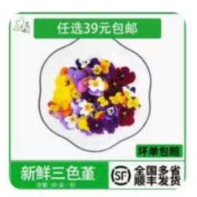 三色堇1*10g