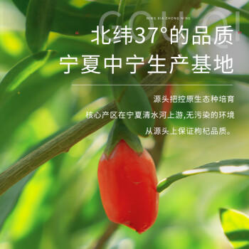 红柳沟红枸杞子宁夏头茬特级500g 免洗大果泡茶养生 送教师节礼物 商品图5