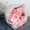 岁月丨19枝粉色康乃馨花束 商品缩略图1