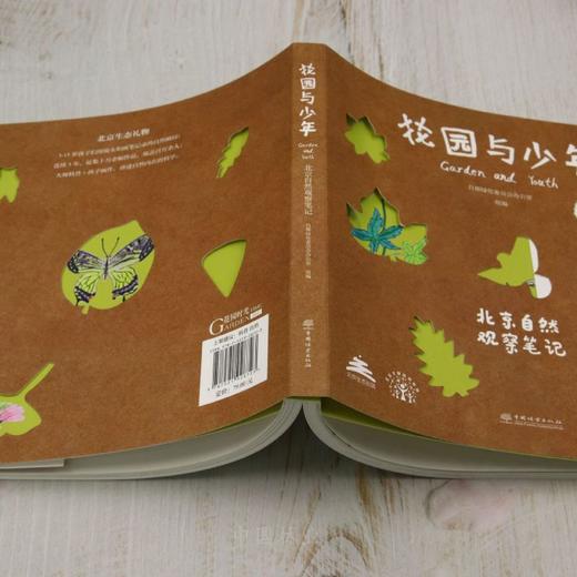 G-花园与少年——北京自然观察笔记 &2872 商品图4