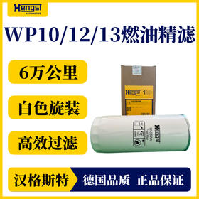 汉格斯特柴油精滤滤芯6万公里通用WP10/12/13白色H558WK