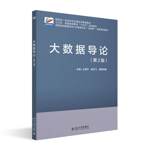 大数据导论（第2版） 王道平 崔鸿飞 葛根哈斯 主编 北京大学出版社 商品图0