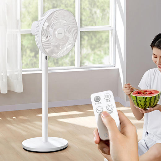 艾美特 遥控落地扇FS30-R57 商品图4