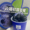 【高甜爆汁 自带花香】云南云端初露蓝莓 现摘现发【礼盒包装 顺丰快速】 商品缩略图5