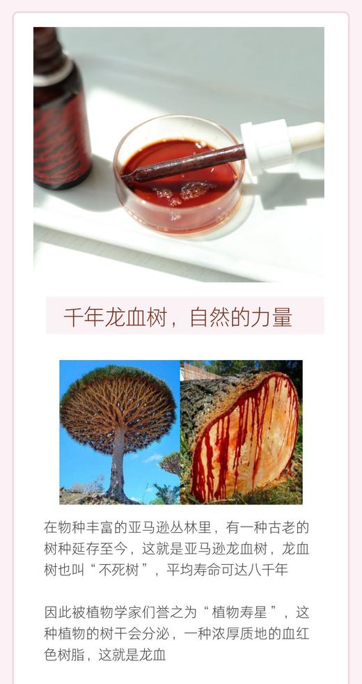 内服外用均可！捷克安能聚龙血树脂精华能源烫伤止血消咽焱 日期26年10月 商品图6