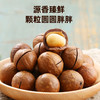 【特惠10.9】新农哥夏威夷果奶香味袋装60g*2（新老包装随机发）【保质期至2026/10/17】-专享价 商品缩略图2