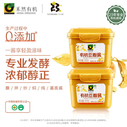 有机豆瓣酱300g 两瓶装 商品图0