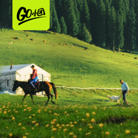 春漫伊犁丨新疆·伊犁 赛里木湖那拉提安集海大峡谷·8天7晚【go小团】