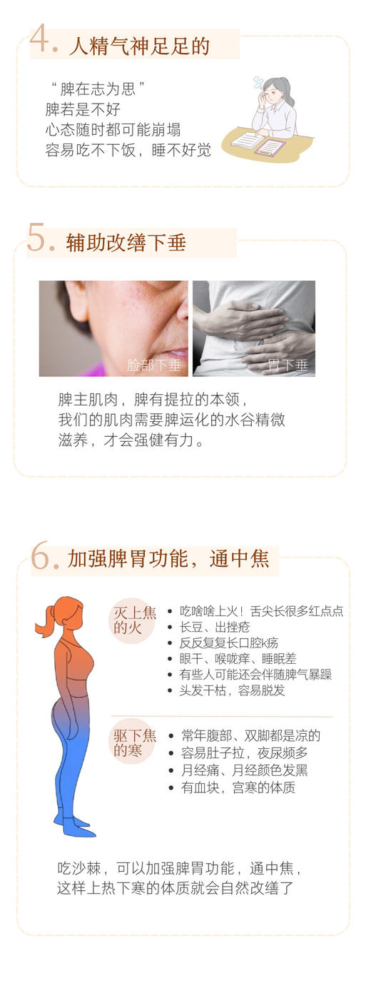 一切从养脾胃开始！捷克安能聚沙棘胶囊90粒 帮助脾胃消化力 专攻中焦不通 商品图6