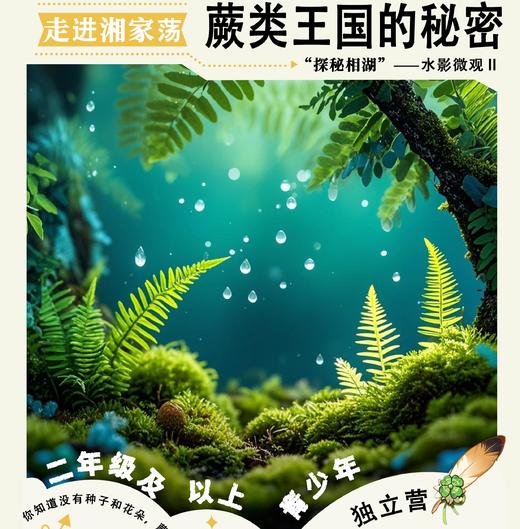 蕨类王国的秘密——水影微观系列Ⅱ 探秘湘湖研学 半日 商品图0