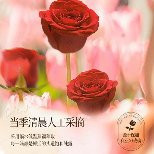 49.9元超值2瓶装【FPN 保加利亚玫瑰纯露】保加利亚进口玫瑰花水 补水保湿提亮肤色 补水护肤滋润光泽 温和舒缓不刺激 一瓶多效敏感肌可用 商品图2