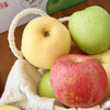 【送礼物 水果礼盒】高档水果 三拼苹果9枚礼盒装酥脆爽口 一次尝鲜 奶油富士+王林/正绿翠香+红富士 商品缩略图4