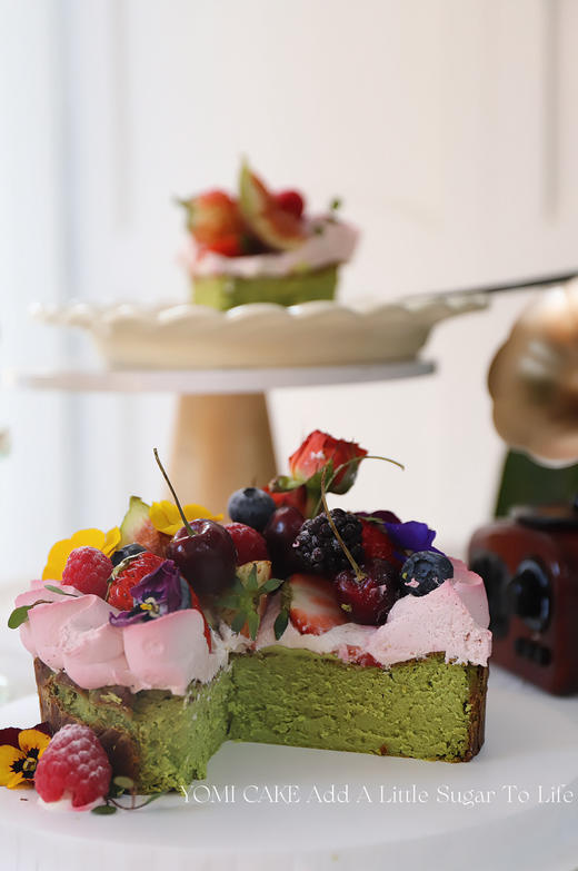 开心果巴斯克 商品图3