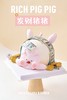 发财猪猪 商品缩略图5