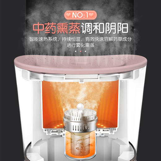 瑞初 坐灸仪家用款 商品图1