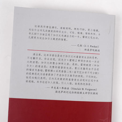 《加尔文的人生智慧：荣耀他并永远以他为乐》 商品图2