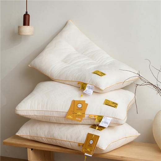 自然醒A类华夫格大豆纤维枕头枕芯家用一对装护颈椎助睡眠专用整头护颈枕男XK 商品图5