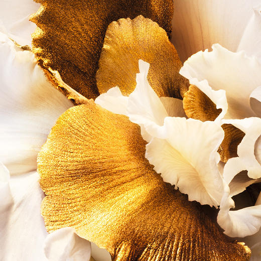 【双11】1楼克丽丝汀迪奥真我香氛100ml 商品图3