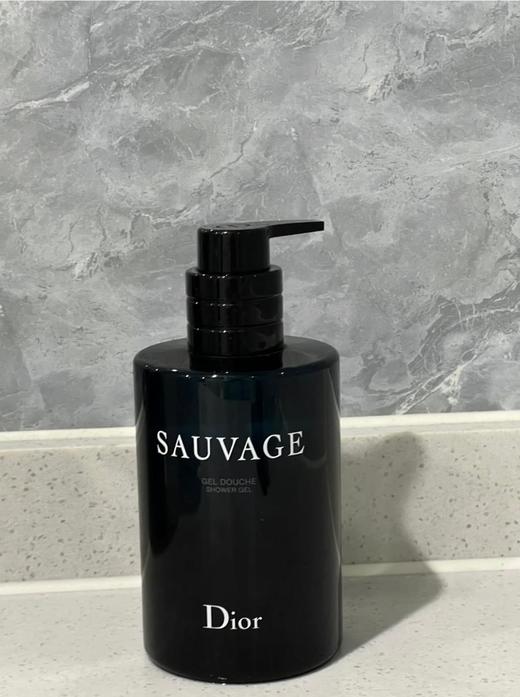1楼迪奥DIOR旷野男士沐浴液250ml 商品图0