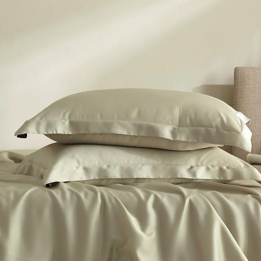 【60S莱赛尔天丝单枕套】天丝枕套60S兰精天丝凉感枕头套纯色一对48X74cm单品 商品图3