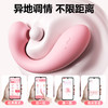 【女用器具】谜姬 淘气鲸情趣跳蛋震动吮吸 商品缩略图4