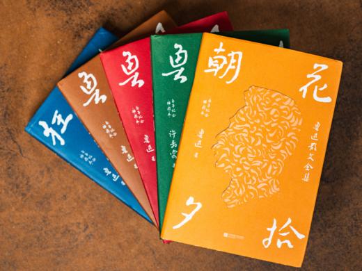 【读懂鲁迅，人生敞亮】《鲁迅作品精选》（全5册）北京鲁迅博物馆官方授权，小说+散文+杂文+传记，鲁迅作品精华全网罗 商品图2