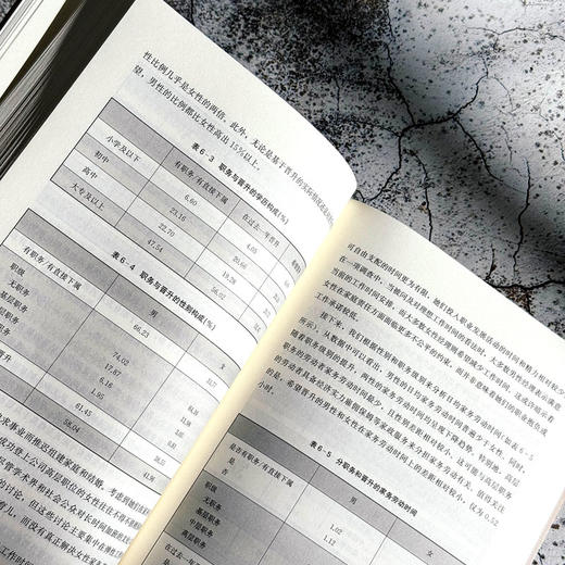 劳动力市场性别不平等的文化根源 性别角色观念生成及影响 商品图12