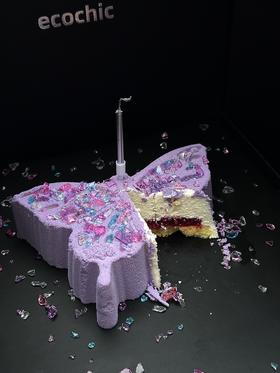 蝶舞星辉 | Midori