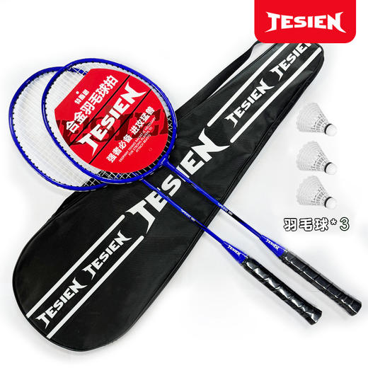 特斯恩铁合金分体羽毛球拍 商品图1