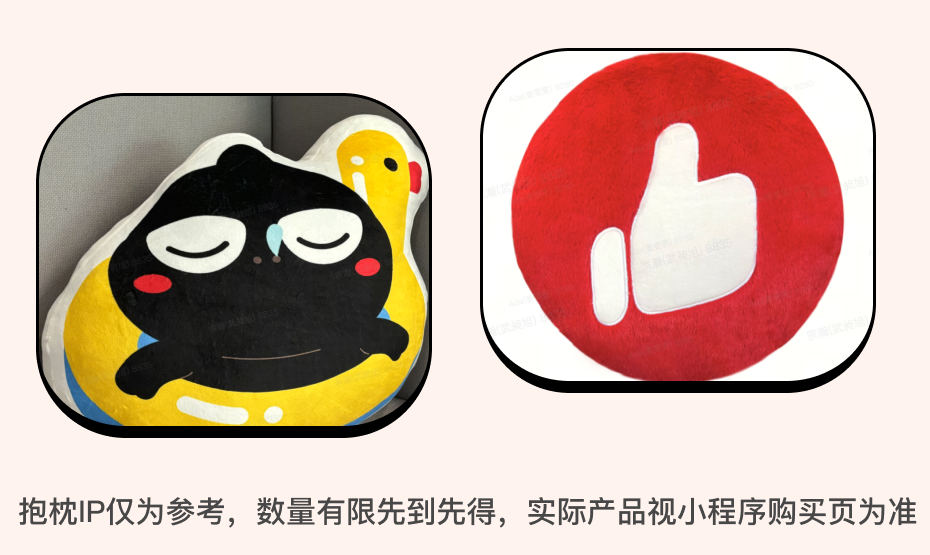 权益五 有赞IP抱枕