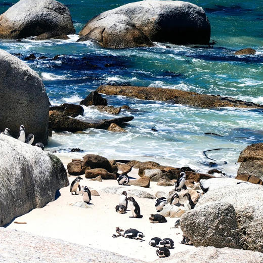 南非 | 南非初印象·8天7晚 商品图2