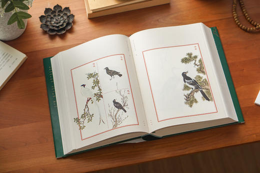 送《金石昆虫草木状：绝美中国博物手绘》刷边特装礼盒｜三联中读知识会员（年卡） 商品图5
