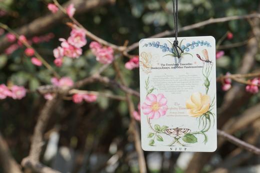 赠品定制香片- 样式香味随机 商品图1