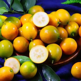 【基地直采！广西脆皮金桔】当季时令水果新鲜脆皮小金桔鲜果金桔子