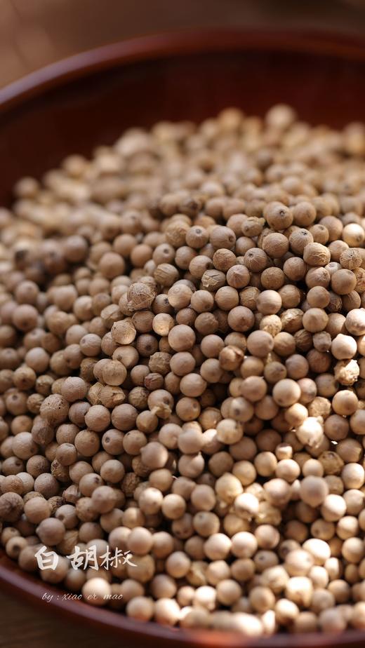 「适配五行蔬菜汤」新鲜海南白胡椒/黑胡椒 2斤送研磨瓶 商品图0