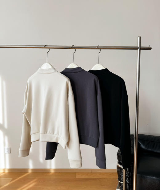 日本单铜氨丝超顺面料外套192548 商品图2