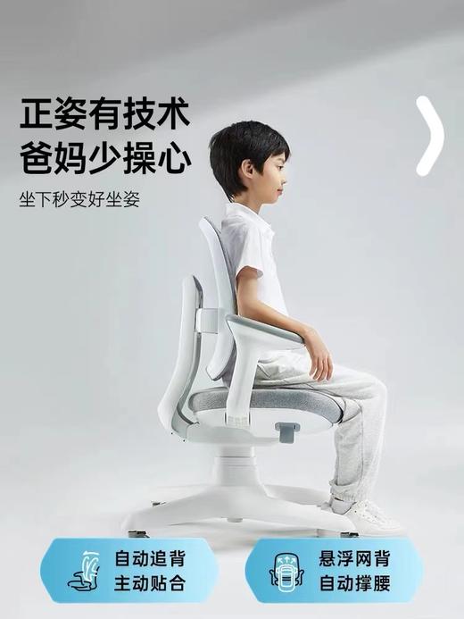 2平米学习椅启源椅启航椅博睿椅合集 商品图5