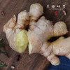 生态小黄姜（成都仓库-顺丰包邮 ）｜2斤/箱，来自四川峨眉山，生产者：张书华【合作生产，公平贸易】 商品缩略图10