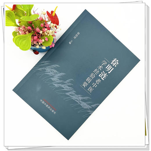 徐明涟老中医学术经验辑要 徐向青 主编 中国中医药出版社 中医临床 书籍 商品图1