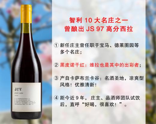 【双12大促，亏本清仓】智利10大家族名庄：维拉酒庄JCV黑皮诺干红（2016年） 商品图0