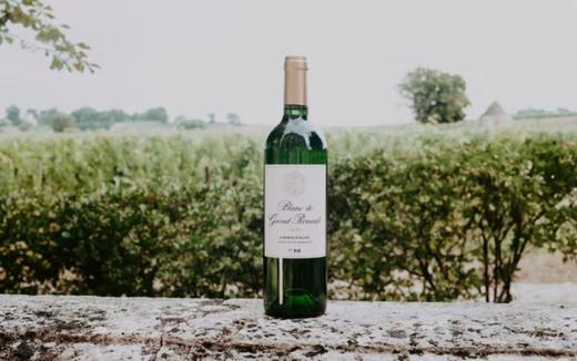 第4期第2款丨歌华露干白葡萄酒2023  传承五代的手工级酒庄的精心之作 商品图3