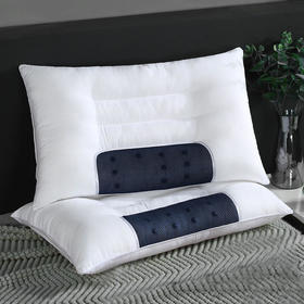 【多样屋专柜】雅鹿 决明子磁疗明目枕 白色 30*50cm