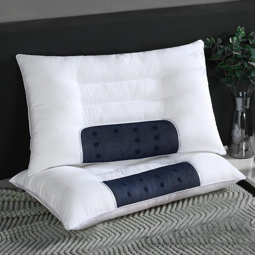 【多样屋专柜】雅鹿 决明子磁疗明目枕 白色 30*50cm 商品图0