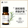 迷迭香精油单方精油 10ml 商品缩略图1