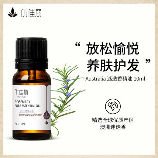 迷迭香精油单方精油 10ml 商品图1